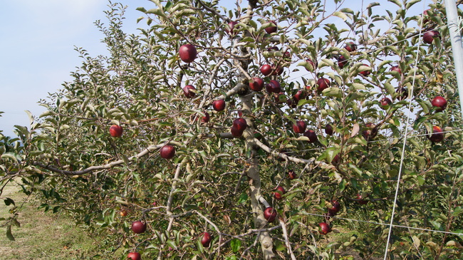 f0233414_2201351.jpg