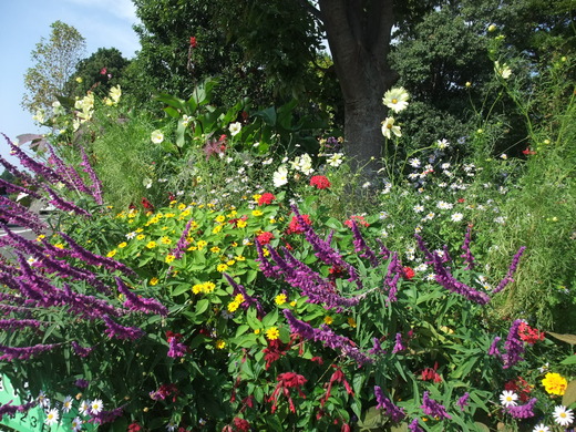 e0135518_220319.jpg