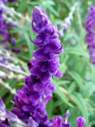 e0141819_22411994.png
