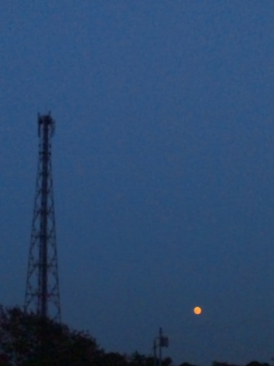 b0199924_2001389.jpg
