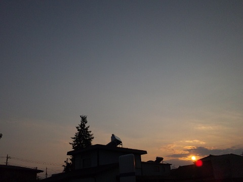 b0199924_200936.jpg