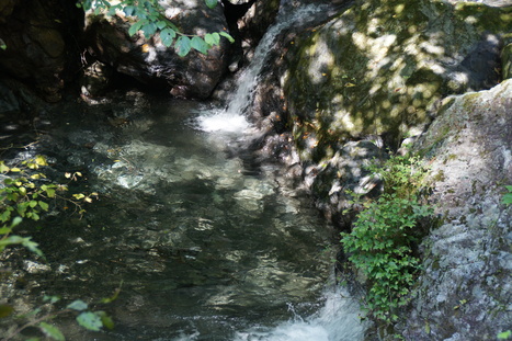 d0156625_13171084.jpg
