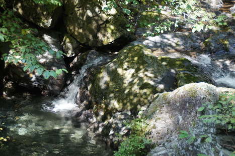 d0156625_13174818.jpg