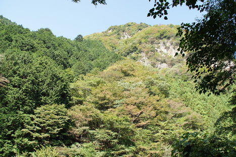 d0156625_13271649.jpg