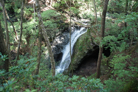 d0156625_13314320.jpg