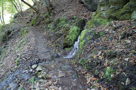 d0156625_133161.jpg