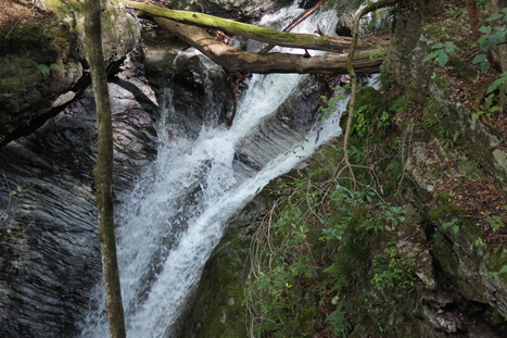 d0156625_13323170.jpg