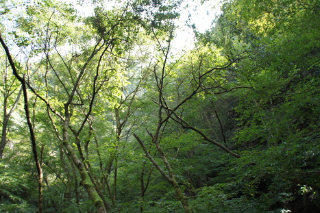 d0156625_13332672.jpg