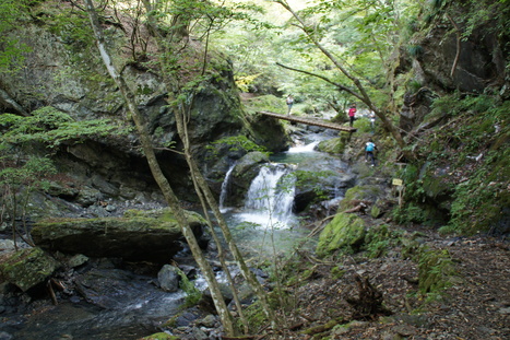 d0156625_13345787.jpg
