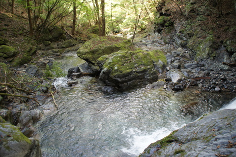 d0156625_13382245.jpg