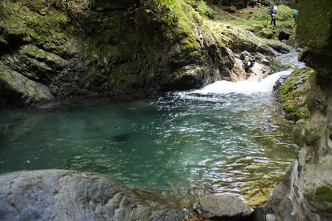 d0156625_13384516.jpg