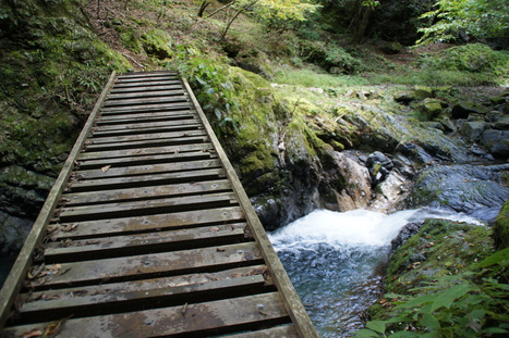 d0156625_1339919.jpg