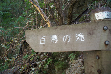 d0156625_13462480.jpg