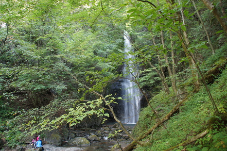 d0156625_13494070.jpg