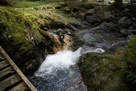 d0156625_14452516.jpg
