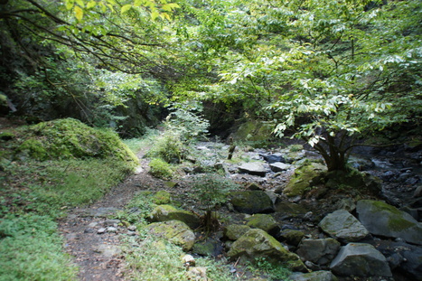 d0156625_14455710.jpg