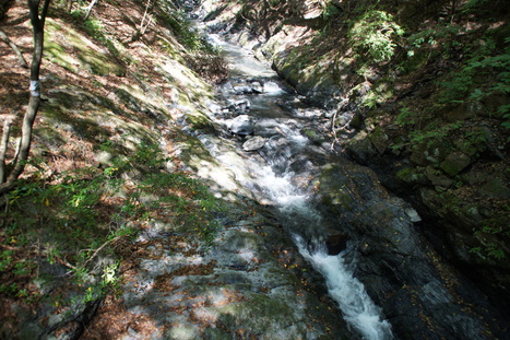 d0156625_14463820.jpg
