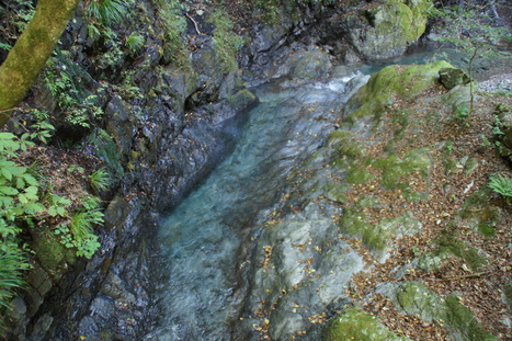 d0156625_1448531.jpg