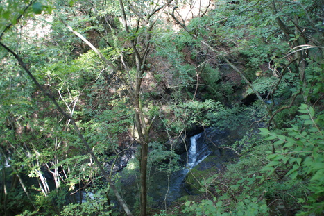 d0156625_1449961.jpg