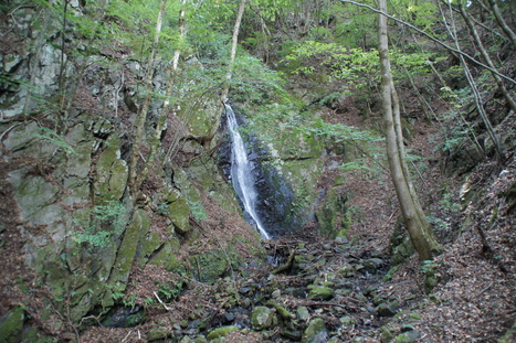 d0156625_14504233.jpg