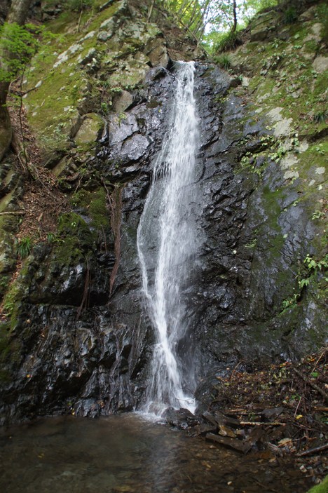 d0156625_14512325.jpg