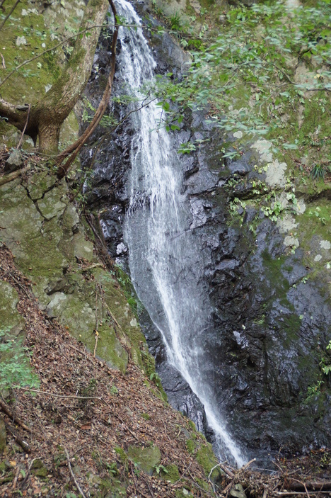 d0156625_1451490.jpg