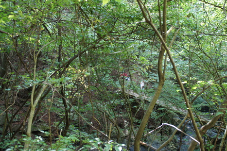 d0156625_14553331.jpg