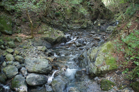 d0156625_1455947.jpg