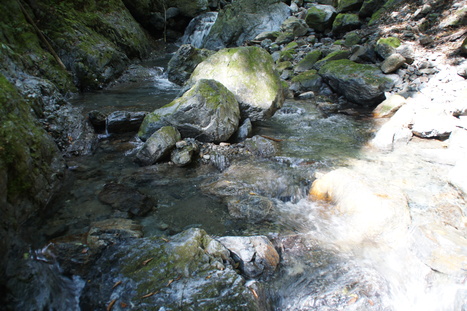 d0156625_14561665.jpg