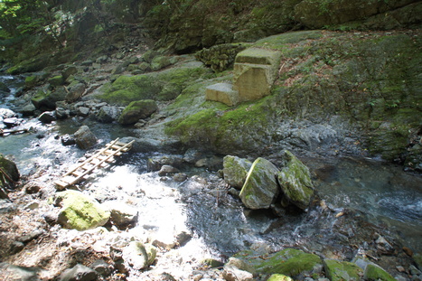 d0156625_1456576.jpg