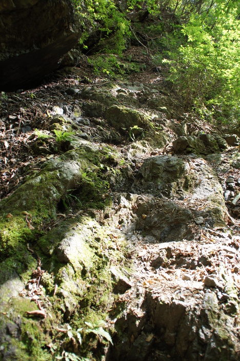 d0156625_14572243.jpg