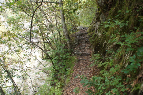 d0156625_14574740.jpg