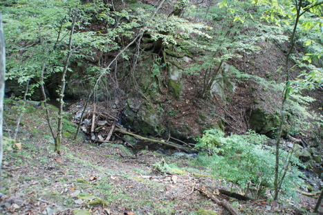 d0156625_15505779.jpg