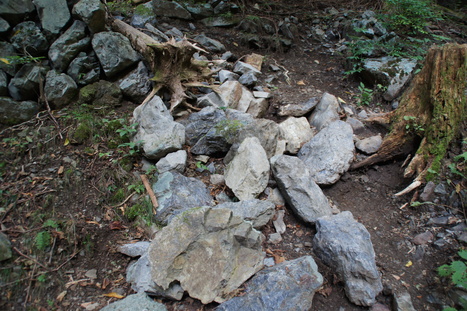 d0156625_15523077.jpg