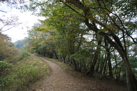 d0156625_1622232.jpg