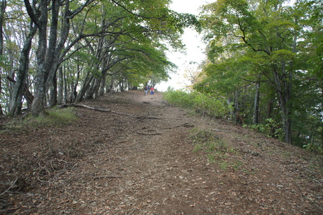 d0156625_162259.jpg