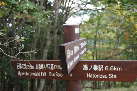 d0156625_1623816.jpg