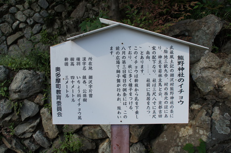 d0156625_16243923.jpg