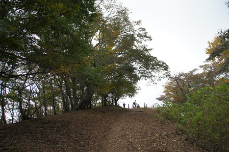 d0156625_1625740.jpg