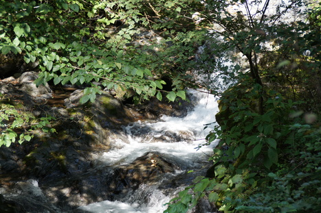d0156625_1675584.jpg