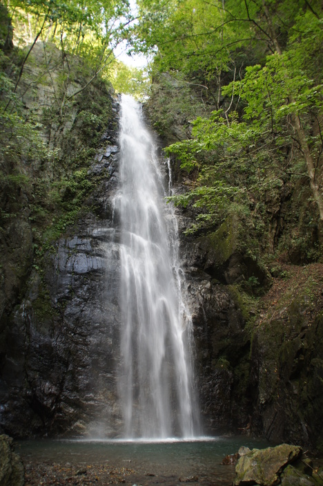 d0156625_4363853.jpg