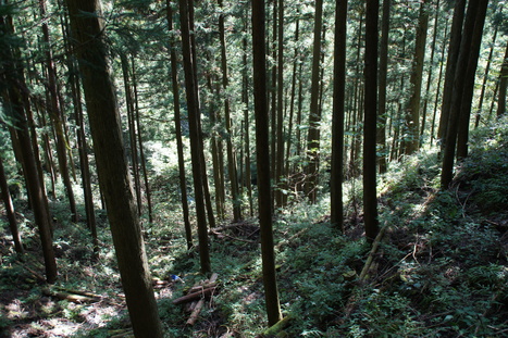 d0156625_455712.jpg