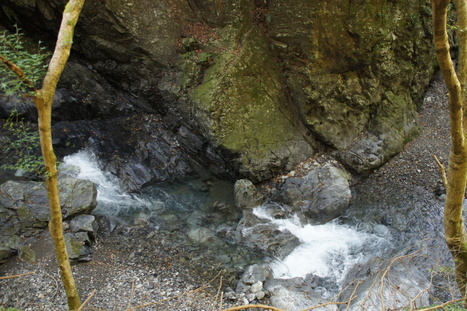 d0156625_462477.jpg