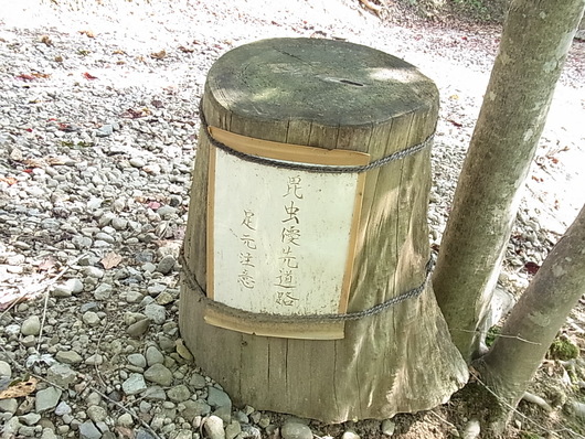 e0206828_22141629.jpg