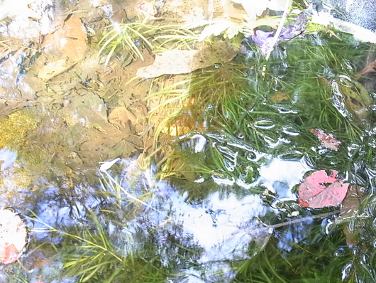e0206828_2215166.jpg