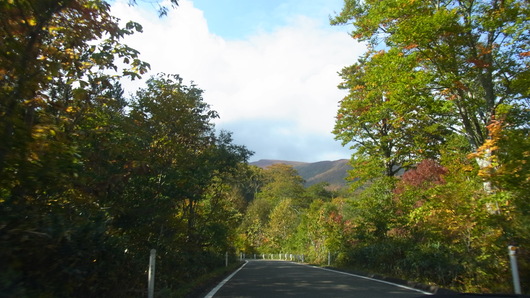e0206828_23133966.jpg