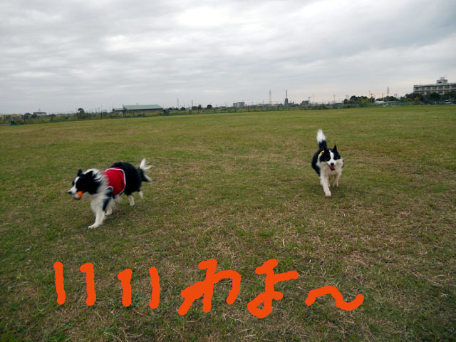 d0059230_20594821.jpg