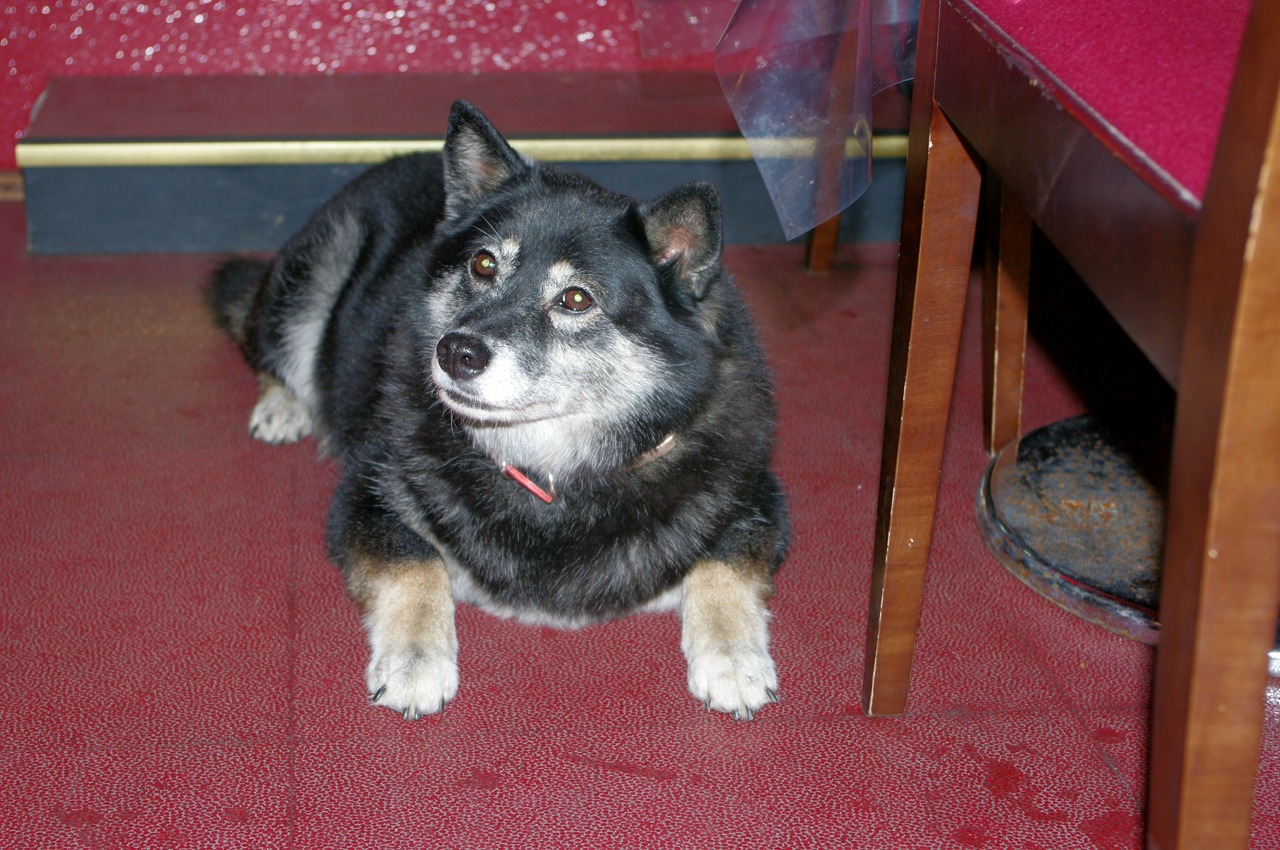 a0137431_5452389.jpg