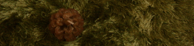 a0229731_23525541.jpg