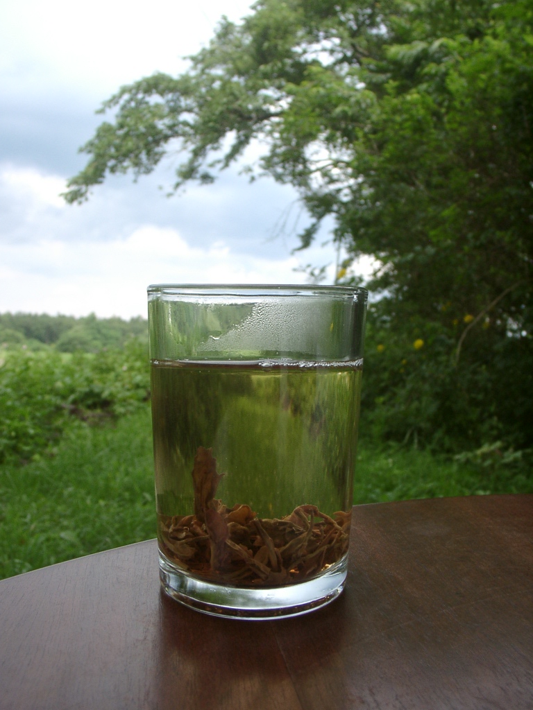 d0007735_8341983.jpg